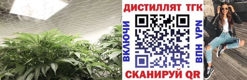 купить наркотик  Заречный  hydra ссылка  ТГК THC oil 