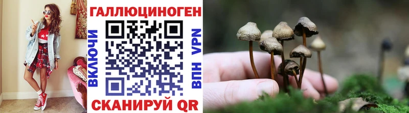 Псилоцибиновые грибы прущие грибы  omg вход  Заречный 