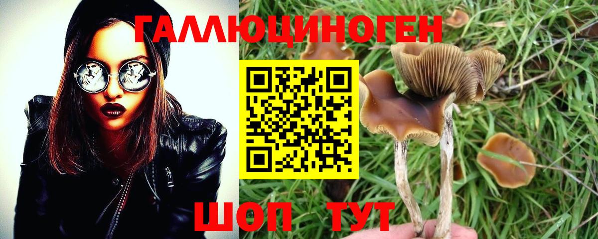 Заречный  Псилоцибиновые грибы мицелий  Вход с VPN  Галлюциногенные грибы ЛСД 