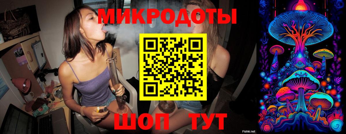 Псилоцибиновые грибы Cubensis Заречный