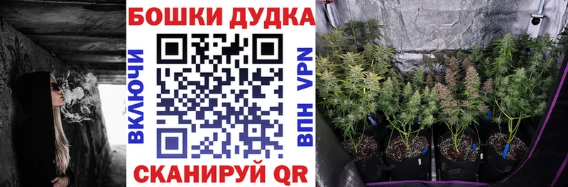 площадка как зайти Заречный Конопля Ganja